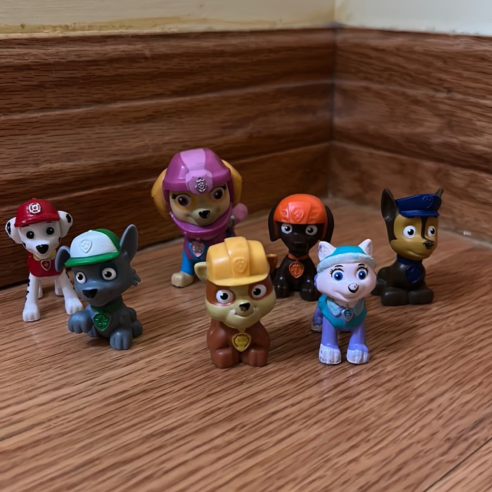 Paw patrol set